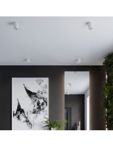 Lámpara de techo ZOE LED blanco