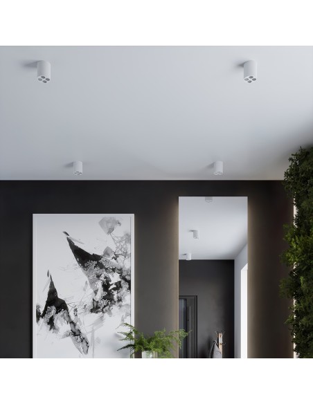 Lámpara de techo ZOE LED blanco