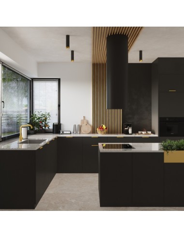 Lámpara de techo NERO 22,5 negro/oro