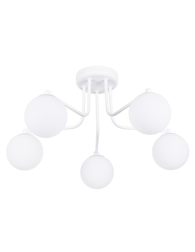 Araña ASTRAL 5 blanca